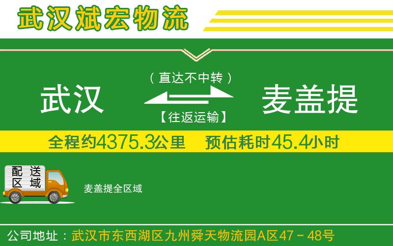 武漢到麥蓋提物流公司