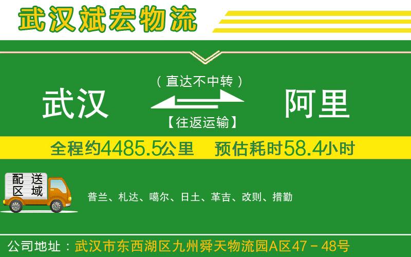 武漢到阿里貨運專線