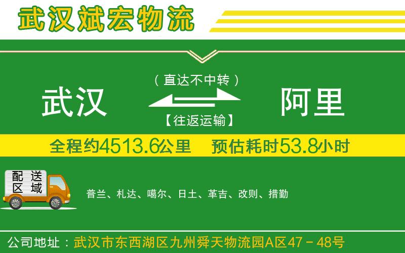 武漢至阿里貨運公司