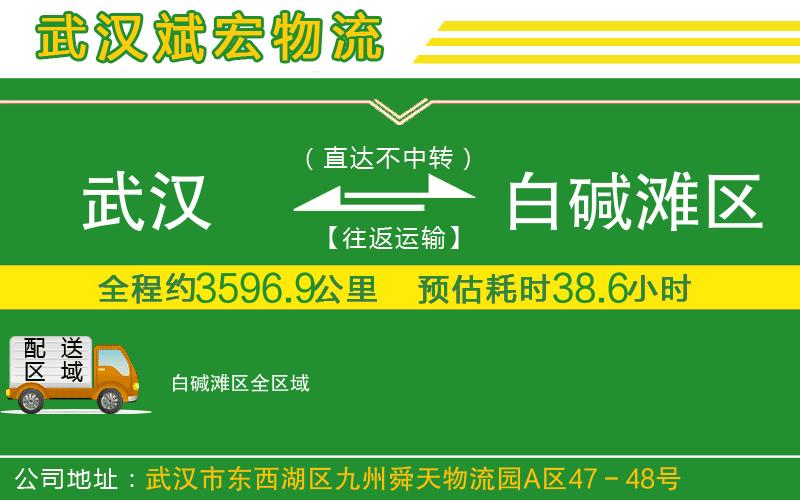 武漢到白堿灘區(qū)物流專線