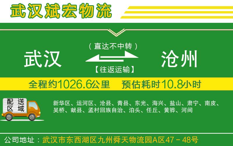 武漢到滄州物流公司