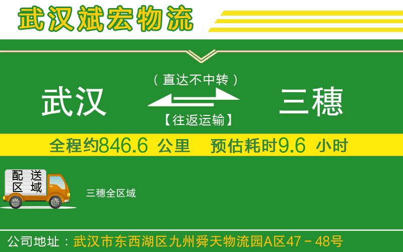 武漢到三穗物流