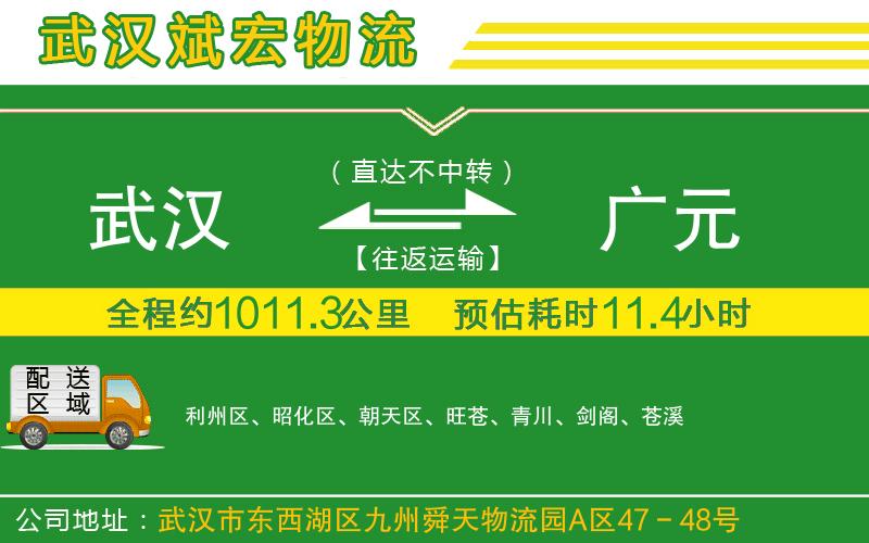 武漢發(fā)廣元物流公司