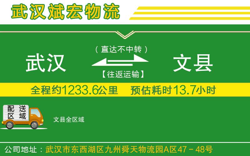 武漢到文縣物流公司
