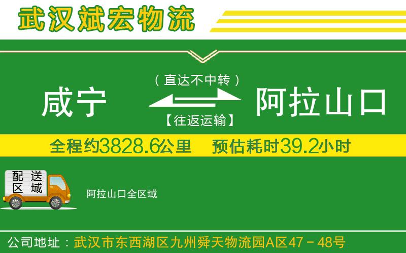 咸寧到阿拉山口物流公司
