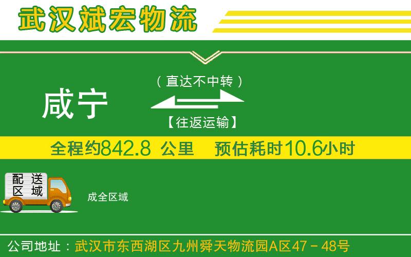 咸寧到成物流公司