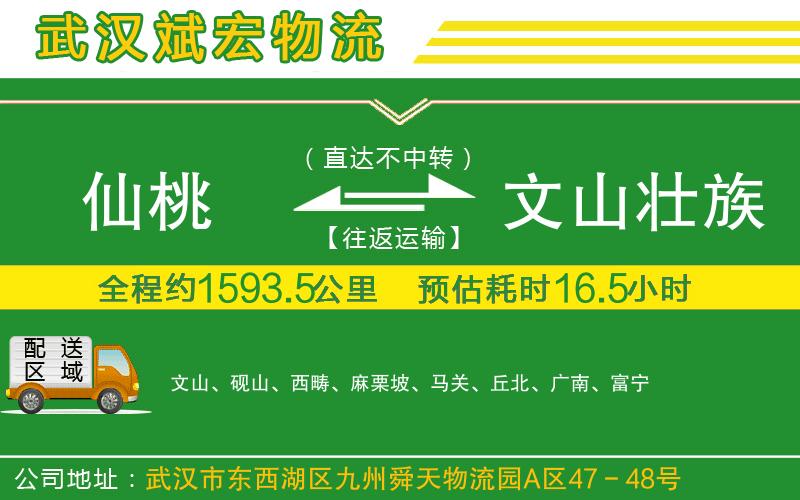 仙桃到文山壯族苗族自治州物流公司