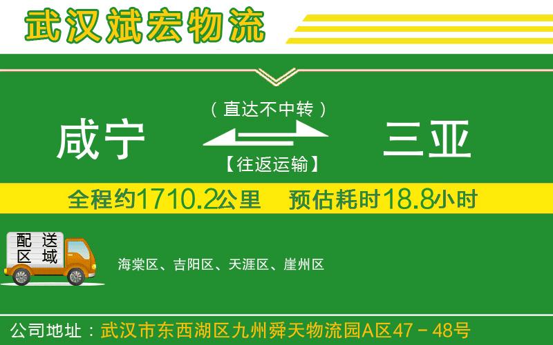 咸寧到三亞物流公司