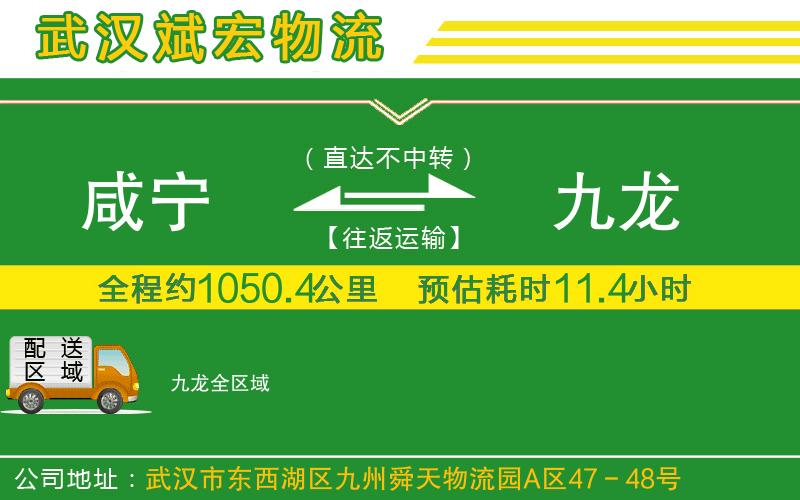 咸寧到九龍物流公司