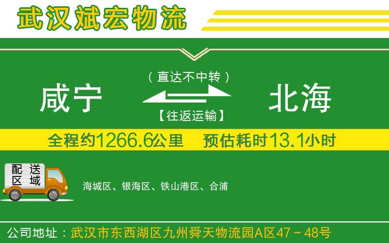 咸寧到北海物流公司