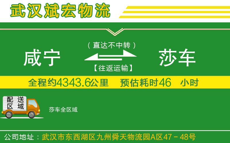 咸寧到莎車(chē)物流公司