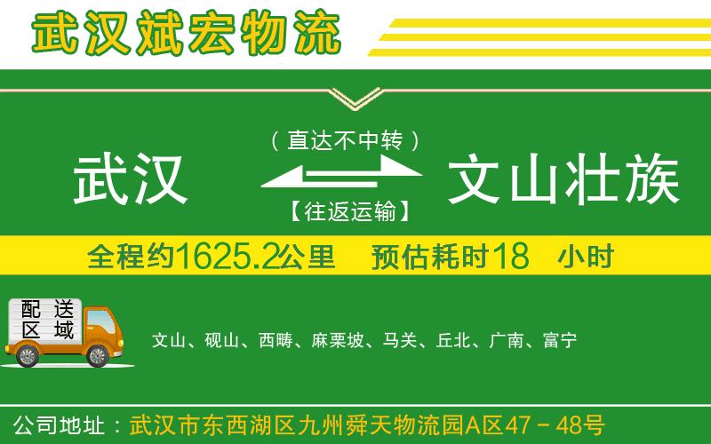武漢至文山壯族苗族自治州專線