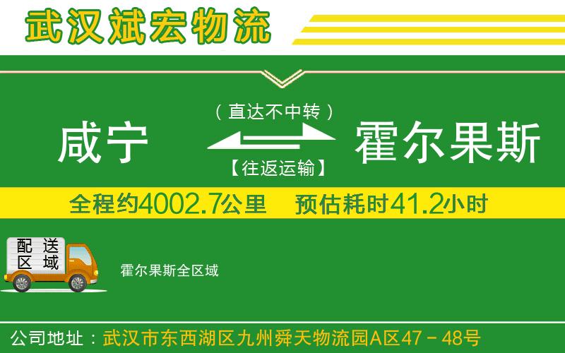 咸寧到霍爾果斯物流公司
