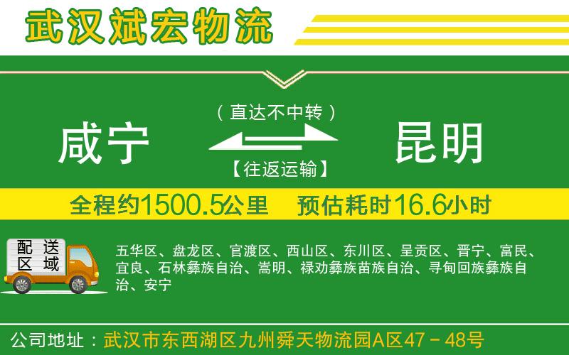 咸寧到昆明物流公司
