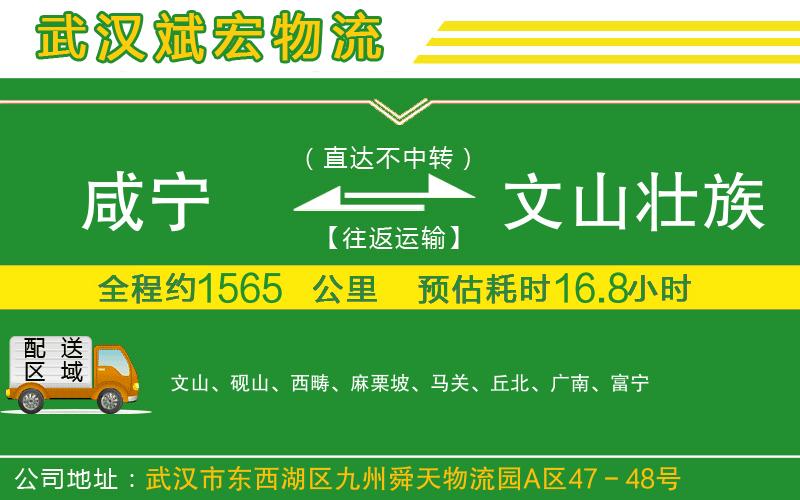 咸寧到文山壯族苗族自治州物流公司