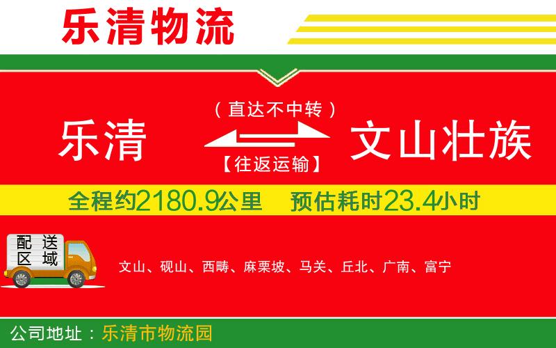 樂清到文山壯族苗族自治州物流公司